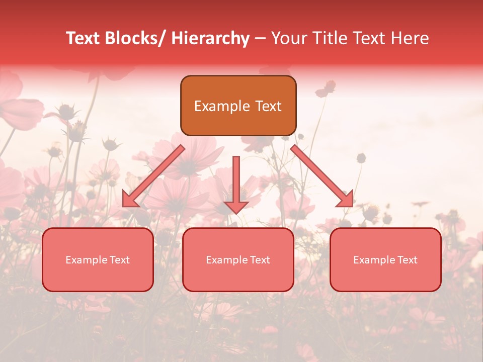 Environment Many Colorful PowerPoint Template