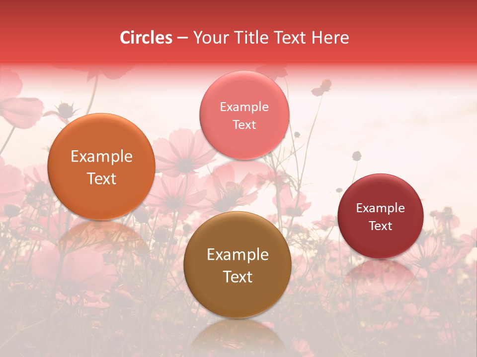 Environment Many Colorful PowerPoint Template
