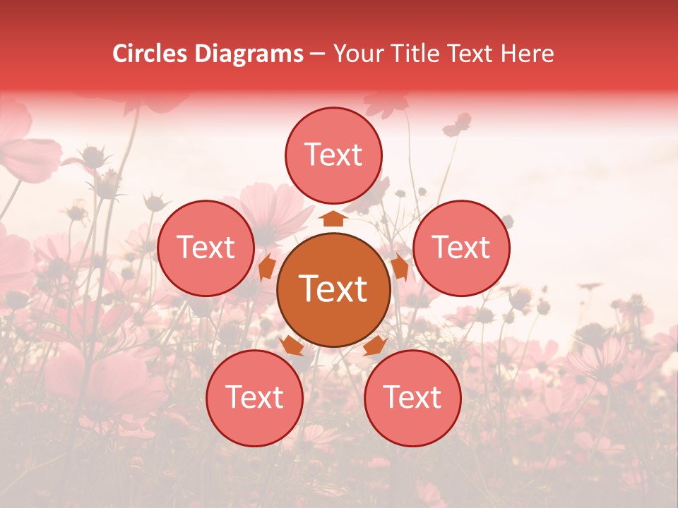 Environment Many Colorful PowerPoint Template