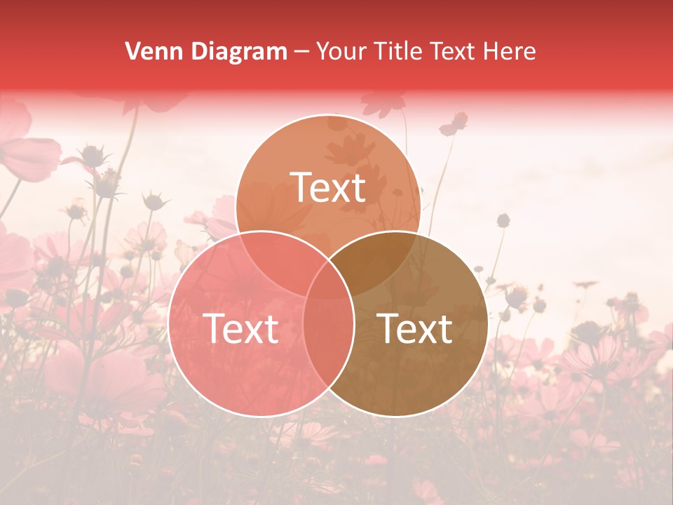 Environment Many Colorful PowerPoint Template