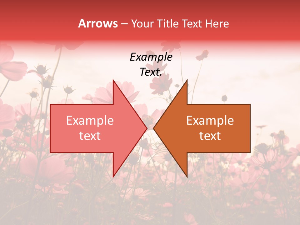 Environment Many Colorful PowerPoint Template