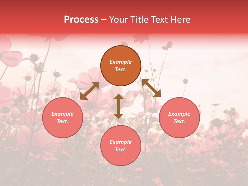 Environment Many Colorful PowerPoint Template
