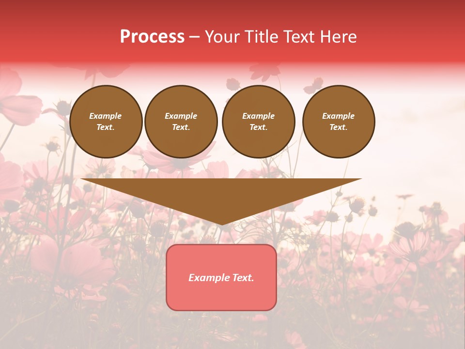 Environment Many Colorful PowerPoint Template