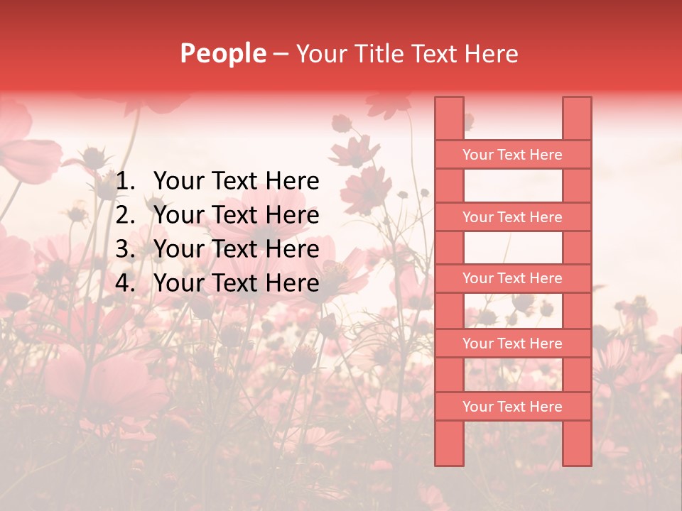 Environment Many Colorful PowerPoint Template