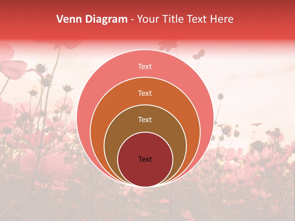 Environment Many Colorful PowerPoint Template
