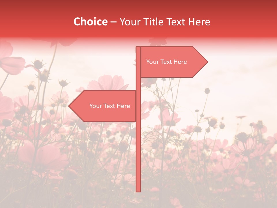 Environment Many Colorful PowerPoint Template