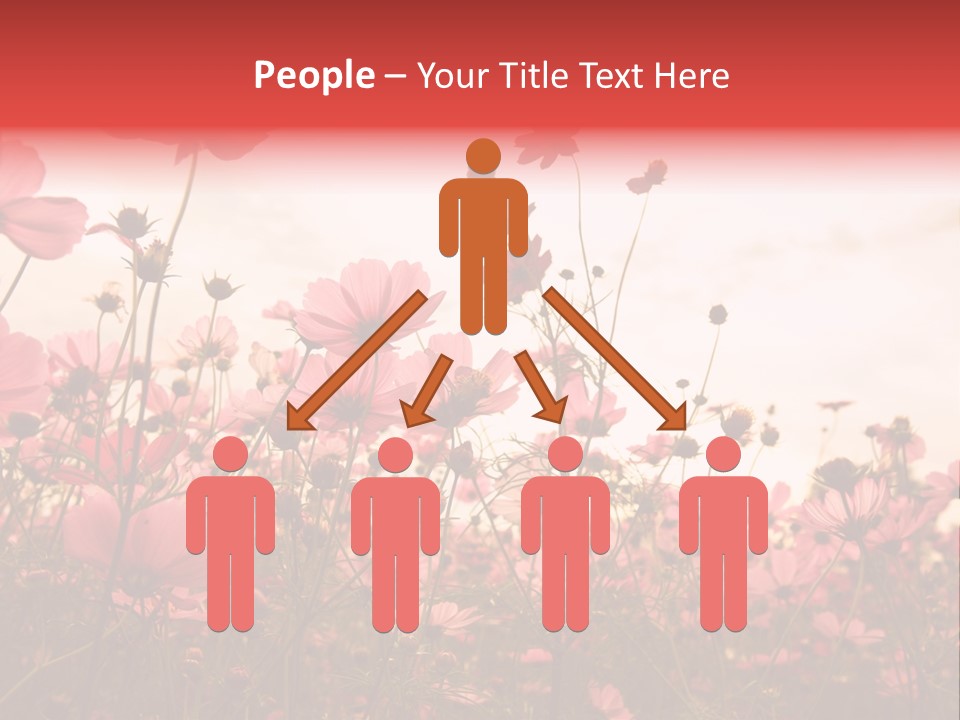 Environment Many Colorful PowerPoint Template