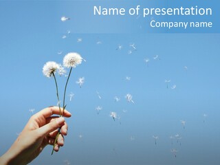 Fingers Horizontal Freedom PowerPoint Template