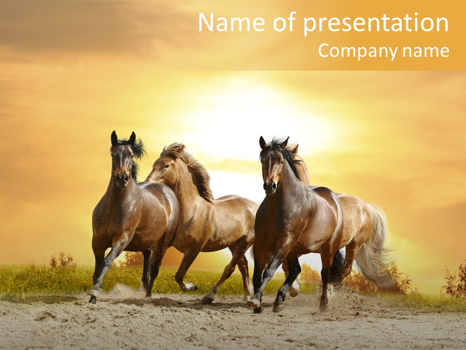 Ranch Tale Draft PowerPoint Template