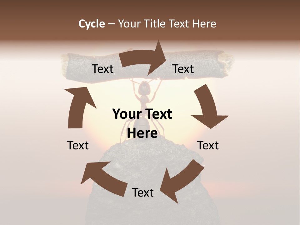 Sunrise Animal Holding PowerPoint Template