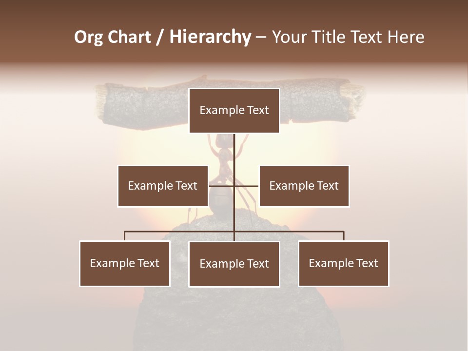 Sunrise Animal Holding PowerPoint Template