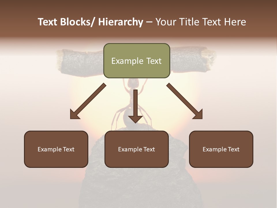 Sunrise Animal Holding PowerPoint Template