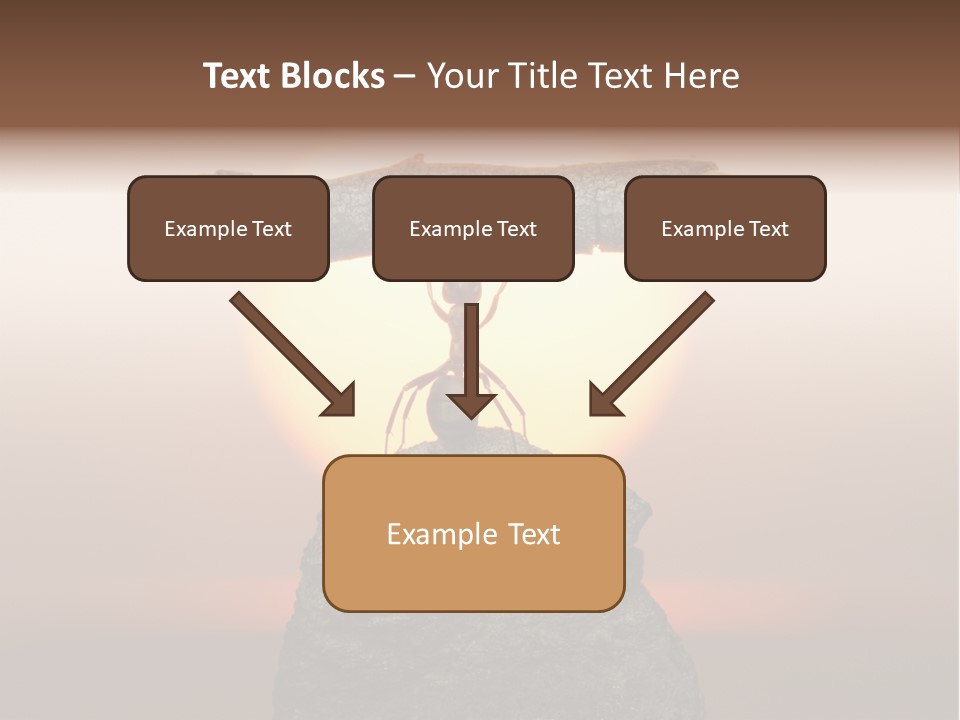 Sunrise Animal Holding PowerPoint Template