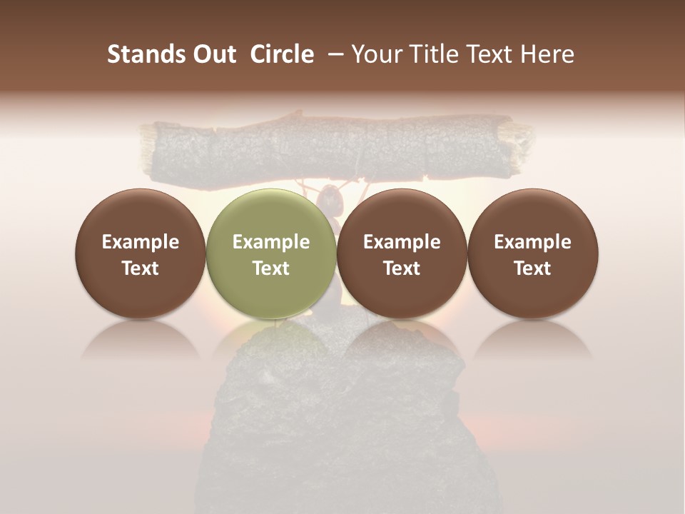 Sunrise Animal Holding PowerPoint Template