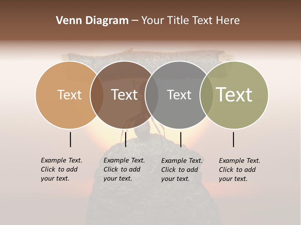 Sunrise Animal Holding PowerPoint Template