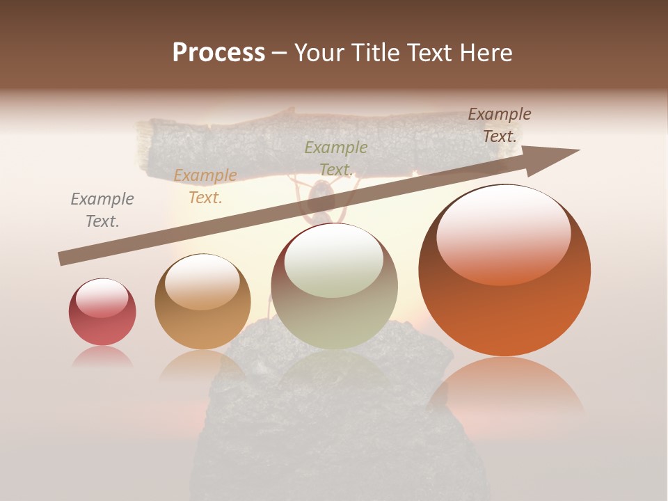 Sunrise Animal Holding PowerPoint Template