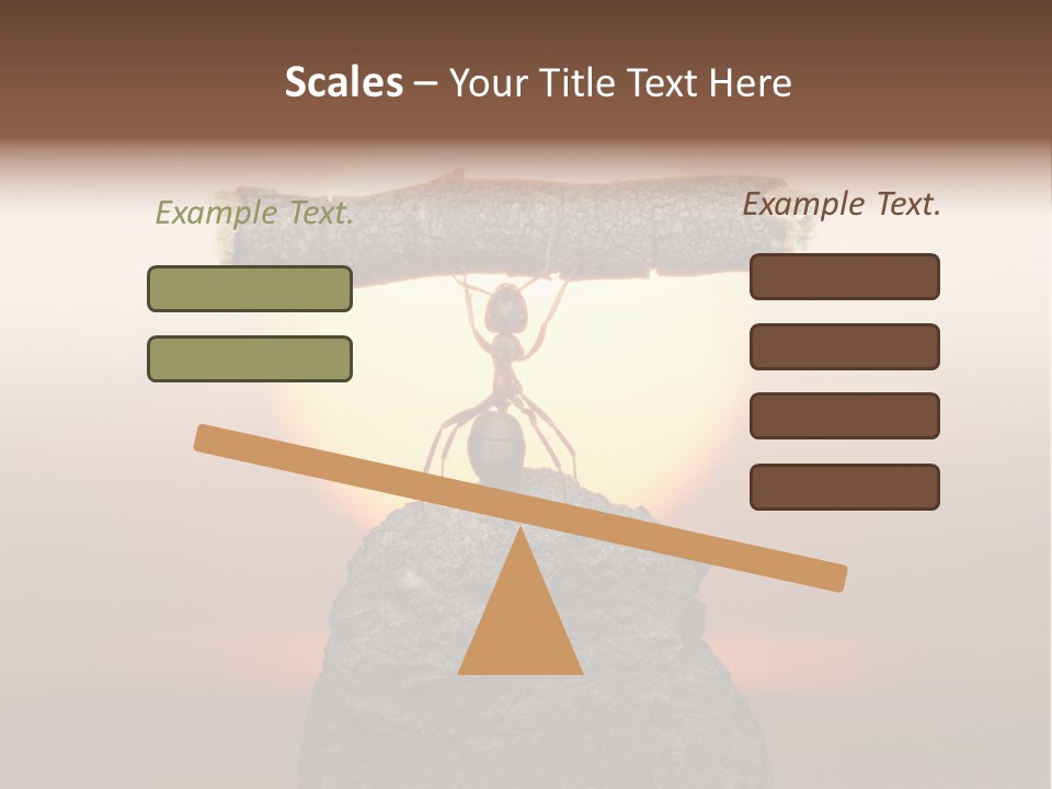 Sunrise Animal Holding PowerPoint Template