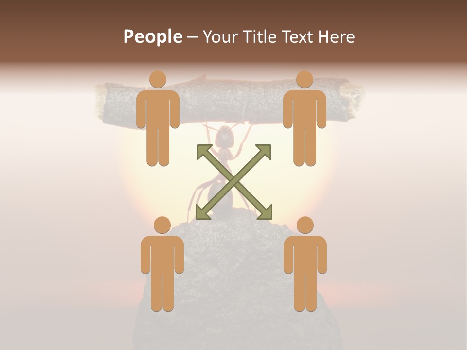 Sunrise Animal Holding PowerPoint Template