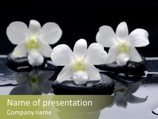 Meditation Health Stone PowerPoint Template