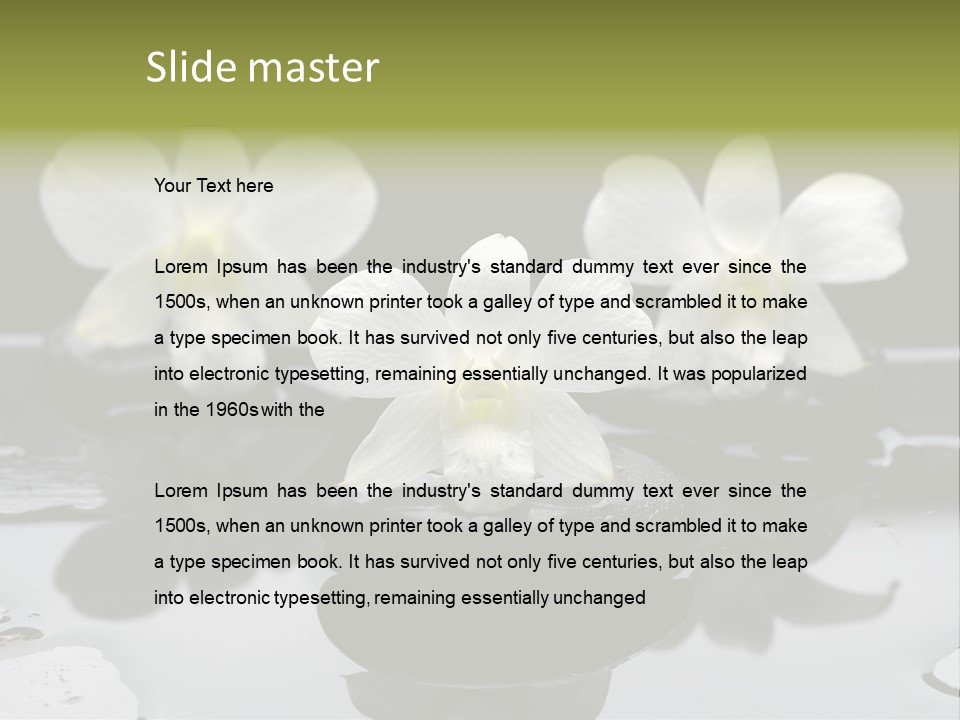 Meditation Health Stone PowerPoint Template