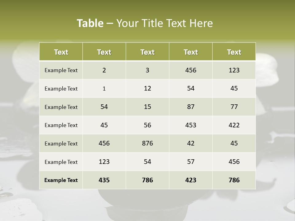 Meditation Health Stone PowerPoint Template