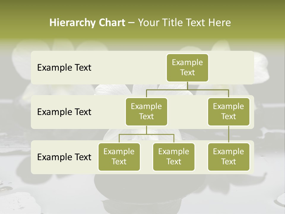 Meditation Health Stone PowerPoint Template