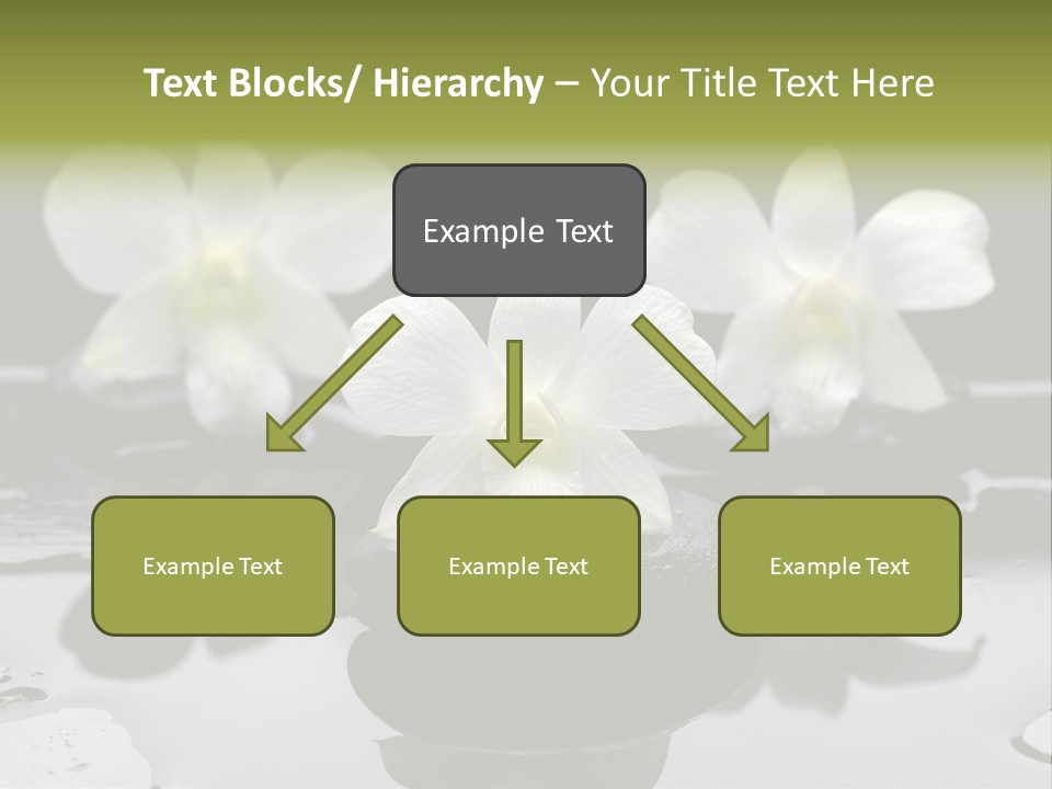 Meditation Health Stone PowerPoint Template
