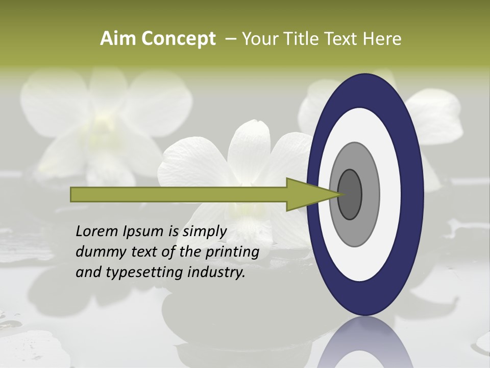 Meditation Health Stone PowerPoint Template