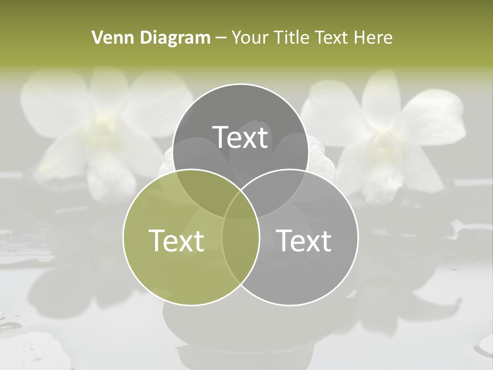 Meditation Health Stone PowerPoint Template