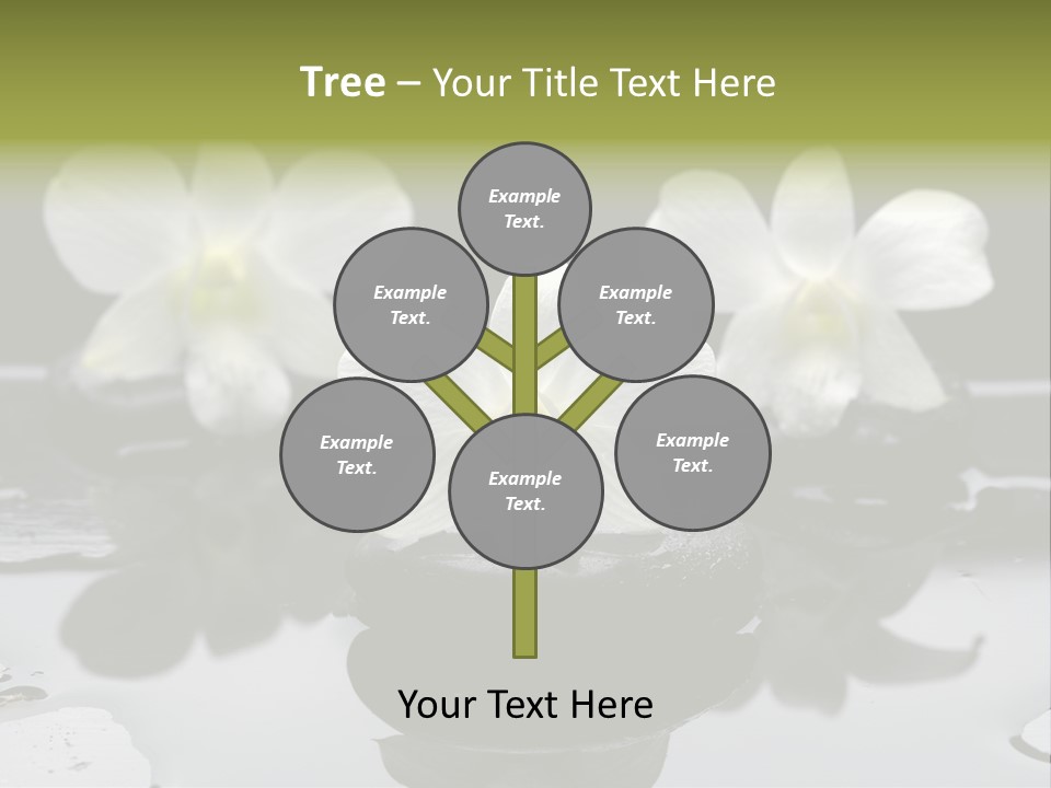 Meditation Health Stone PowerPoint Template