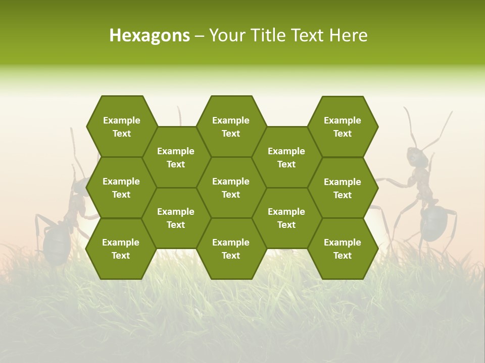 Success Concept Happiness PowerPoint Template