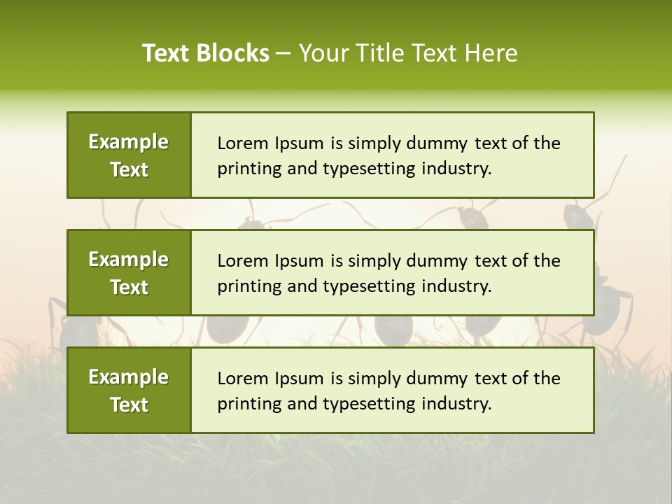 Success Concept Happiness PowerPoint Template