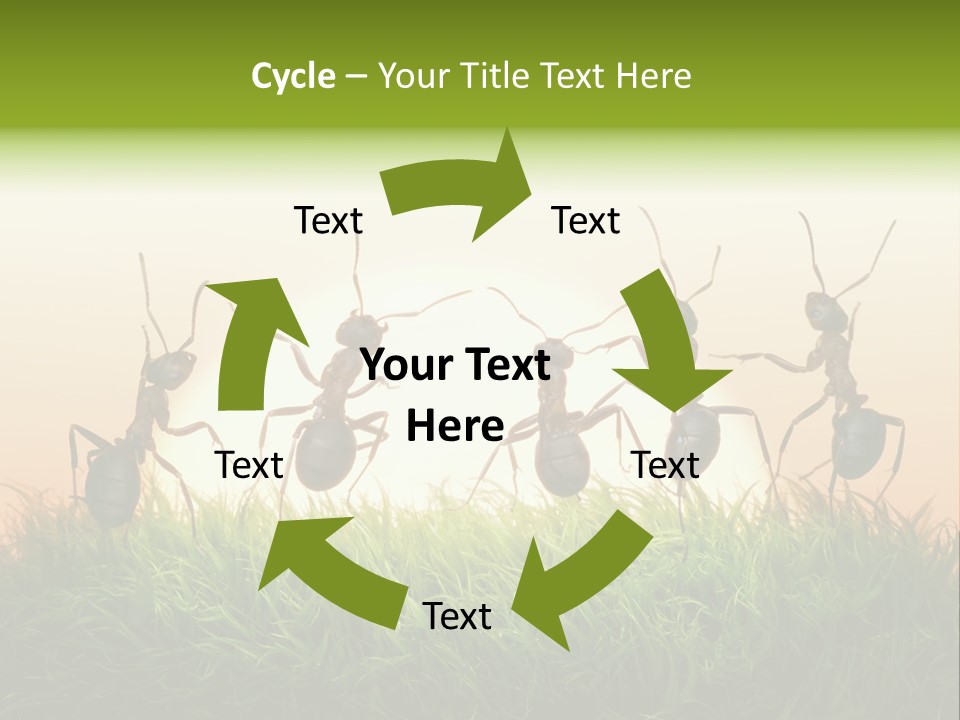 Success Concept Happiness PowerPoint Template