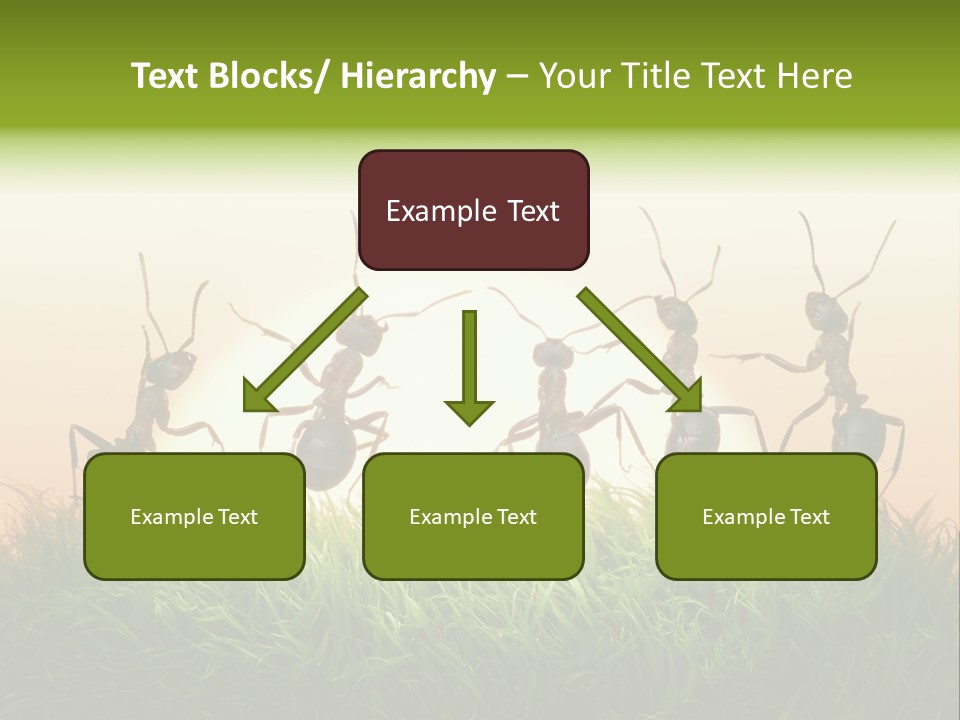 Success Concept Happiness PowerPoint Template