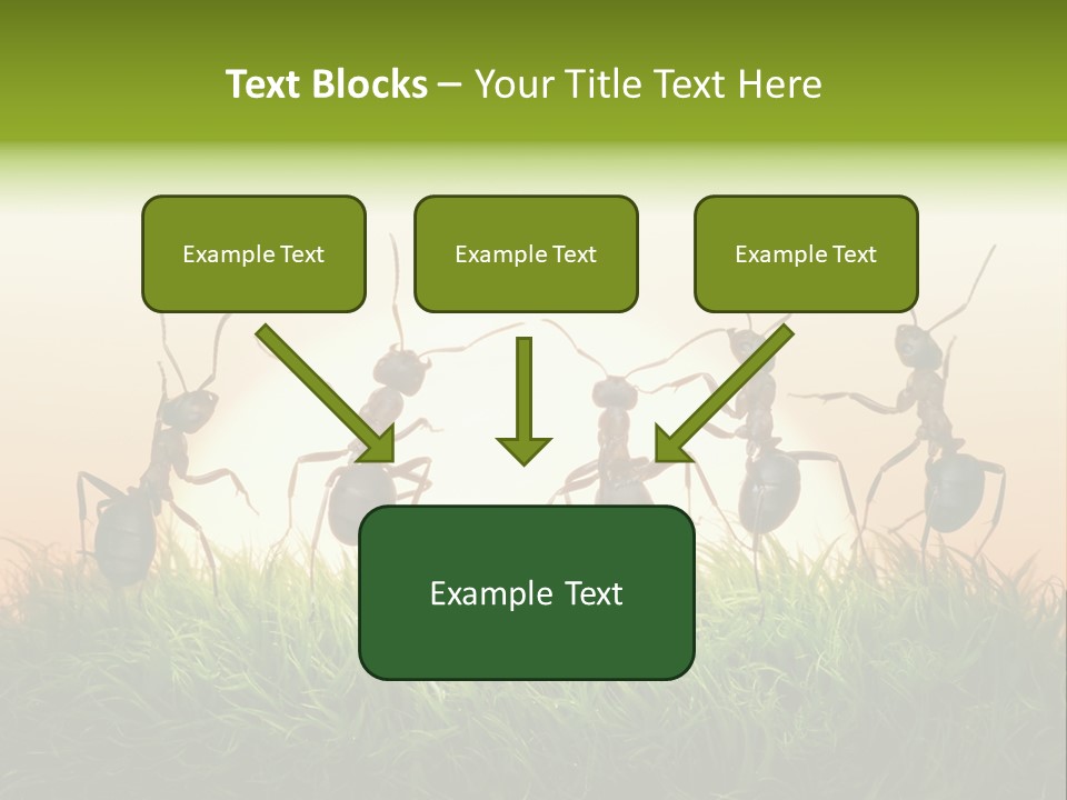 Success Concept Happiness PowerPoint Template