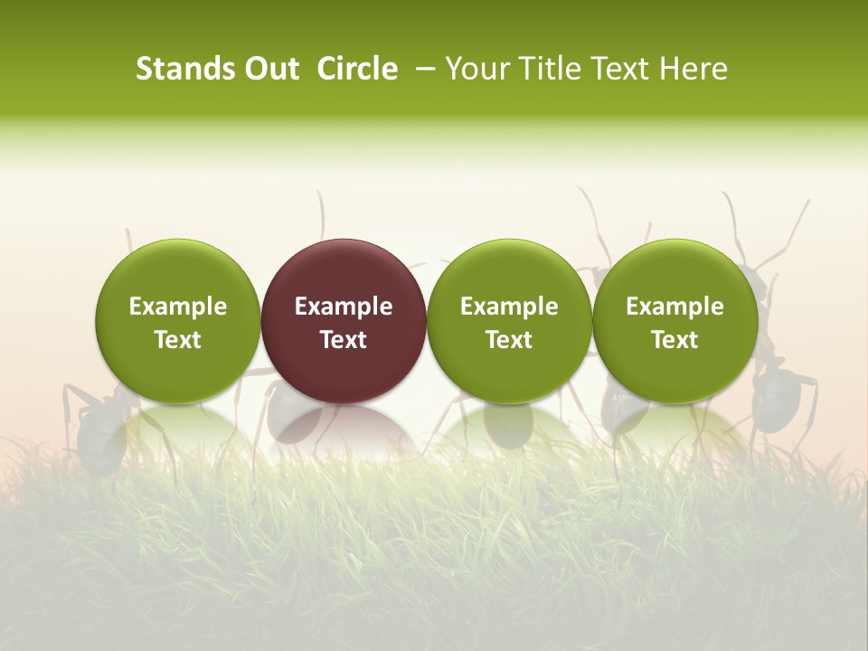 Success Concept Happiness PowerPoint Template