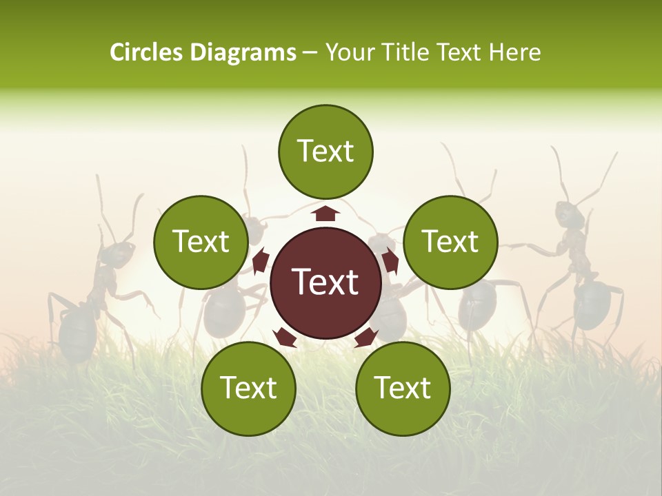 Success Concept Happiness PowerPoint Template