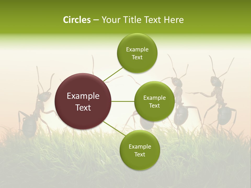 Success Concept Happiness PowerPoint Template