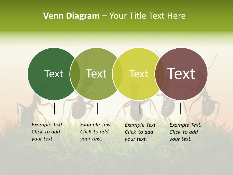 Success Concept Happiness PowerPoint Template