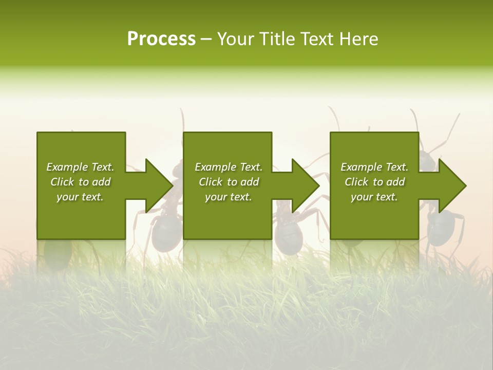 Success Concept Happiness PowerPoint Template
