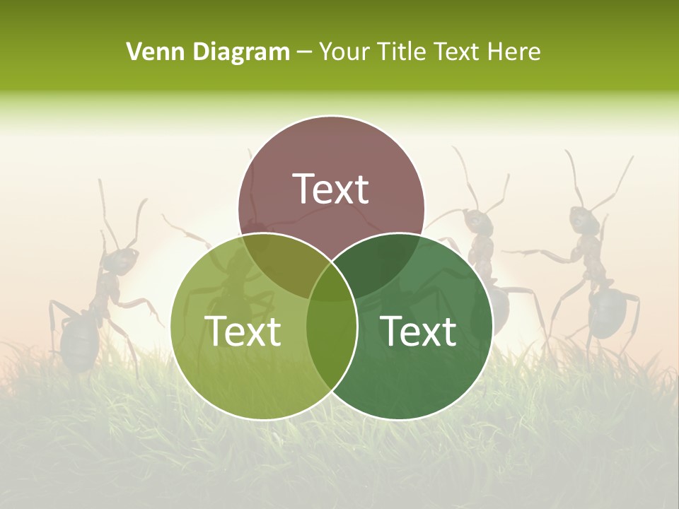 Success Concept Happiness PowerPoint Template