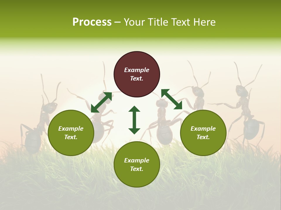 Success Concept Happiness PowerPoint Template