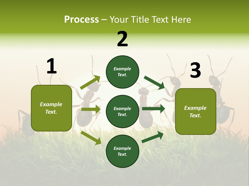 Success Concept Happiness PowerPoint Template