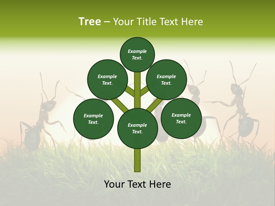 Success Concept Happiness PowerPoint Template