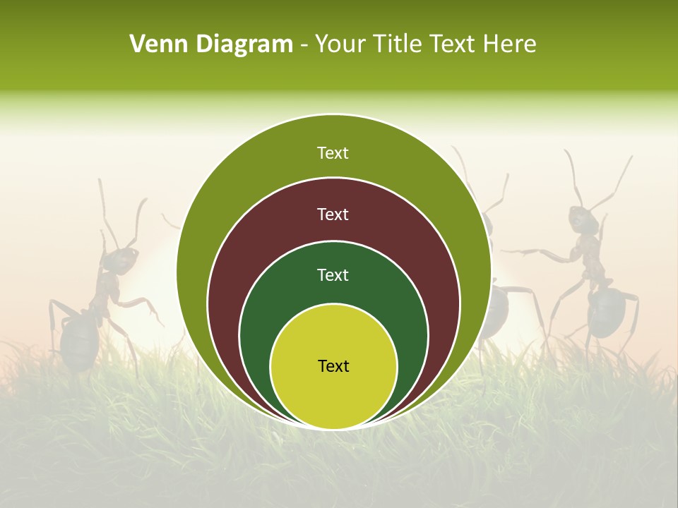 Success Concept Happiness PowerPoint Template