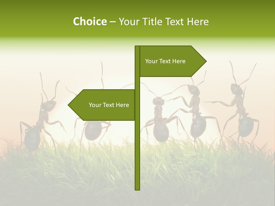 Success Concept Happiness PowerPoint Template