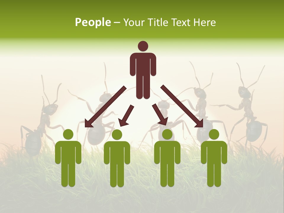 Success Concept Happiness PowerPoint Template