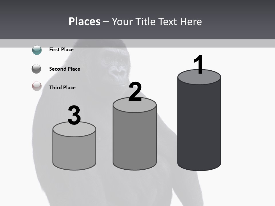 Animal Mammal Species PowerPoint Template