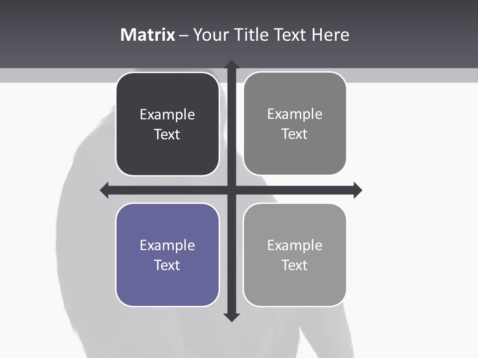 Animal Mammal Species PowerPoint Template