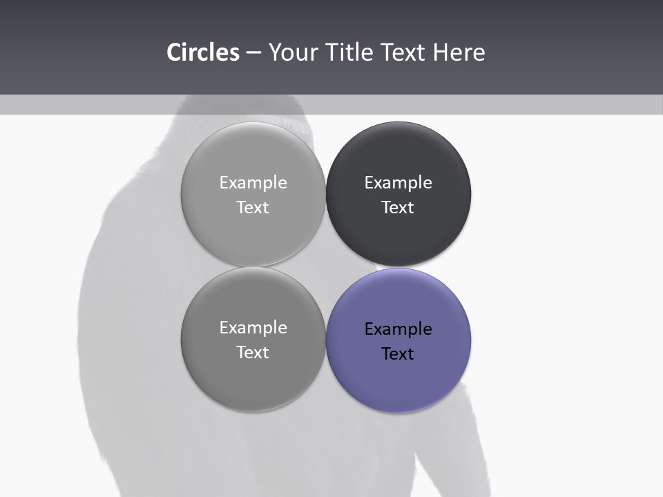 Animal Mammal Species PowerPoint Template